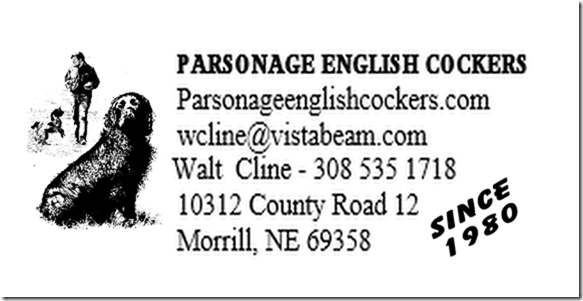 Parsaonage English Cockers