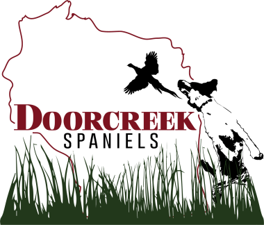 Door creek